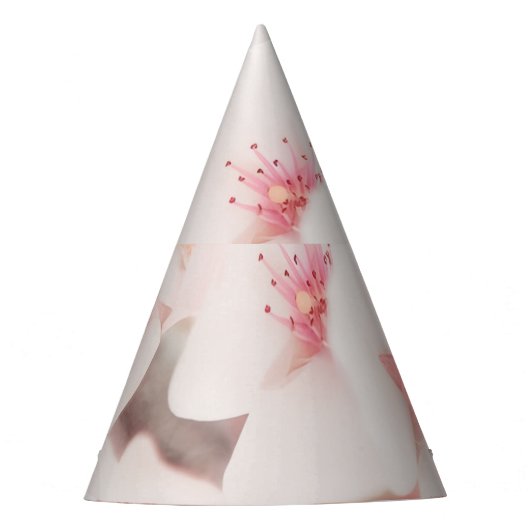 パーティー パーティーハット (正面)