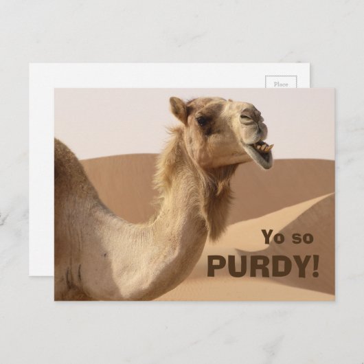 パーデおもしろいィ・キャメル写真 ポストカード (正面/裏面)