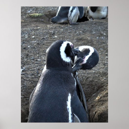 パートナーの評価 ポスター (正面)