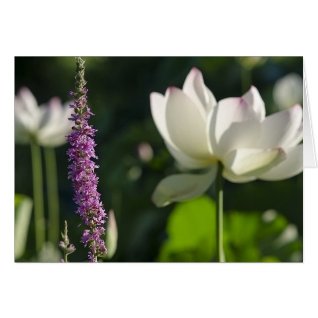 パートナー (正面横)