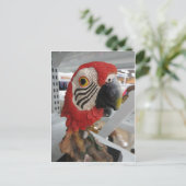 パートヘッド ポストカード (スタンド正面)