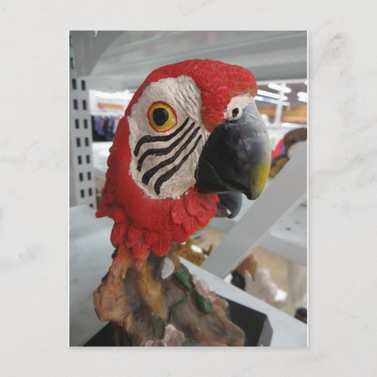 パートヘッド ポストカード (正面)