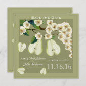 パーフェクトな梨の開花ブランチ・記念日 招待状 (正面/裏面)