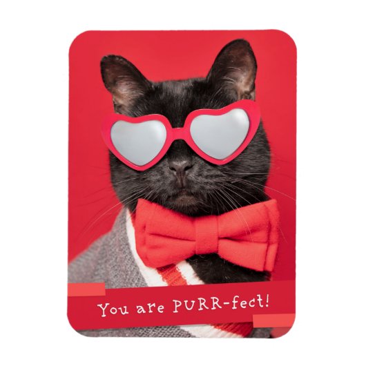 パーフェクトのかわいい猫 マグネット (縦)