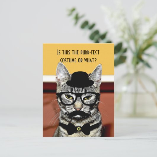 パーフェクトの猫の衣装 ポストカード (スタンド正面)