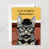 パーフェクトの猫の衣装 ポストカード (正面/裏面)