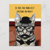 パーフェクトの猫の衣装 ポストカード (正面)