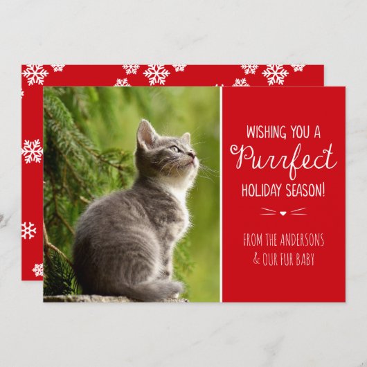 パーフェクトキャットテーマホリデーフォトカード シーズンカード (正面/裏面)