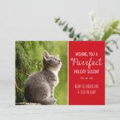 パーフェクトキャットテーマホリデーフォトカード シーズンカード (スタンド正面)