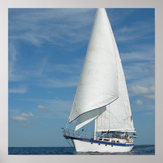 パーフェクトセイルポスター ポスター (正面)