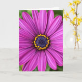 パーフェクトパープルフラワーヘッド カード (黄色い花)