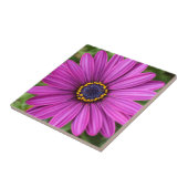 パーフェクトパープルフラワーヘッド タイル (側面)