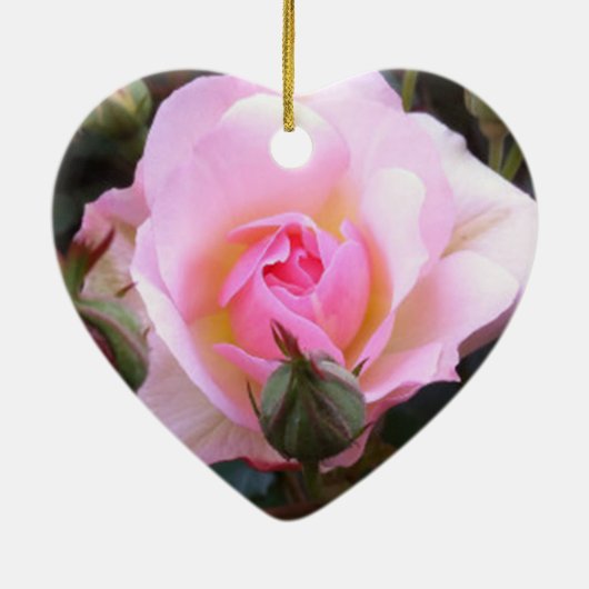 パーフェクトピンクの英語バラ セラミックオーナメント (裏面)