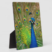 パーフェクトピーコックの羽毛 フォトプラーク (側面)