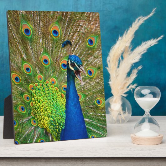 パーフェクトピーコックの羽毛 フォトプラーク (側面)