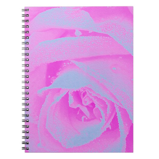 パーフェクトホットピンク&ライトブルーバラ詳細 ノートブック (正面)