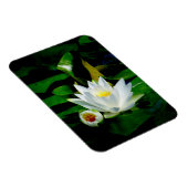 パーフェクトホワイトウォーターリリー&バド マグネット (右側)