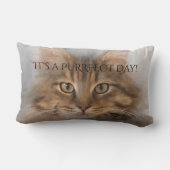 パーフェクト虎猫メインクーンキャットピロー ランバークッション (裏面)