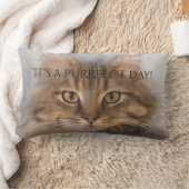 パーフェクト虎猫メインクーンキャットピロー ランバークッション (ブランケット)