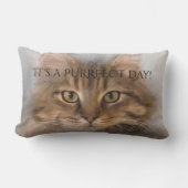 パーフェクト虎猫メインクーンキャットピロー ランバークッション (正面)