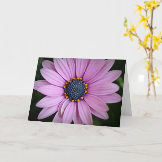 パープルかわいらしアフリカデイジーフラワーアートカード カード (黄色い花)