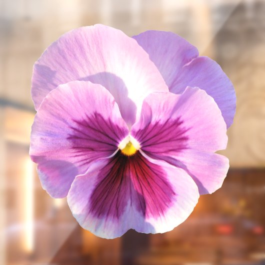 パープルかわいらしパンジーの花 ウィンドウサイン (シート2)