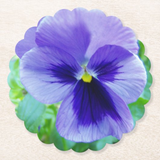 パープルかわいらしパンジーの花 ペーパーコースター (正面)