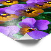 パープルかわいらしパンジー フォトプリント            (角)
