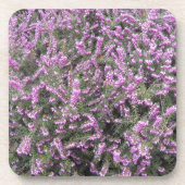 パープルかわいらしヘザーフローラ コースター (正面)