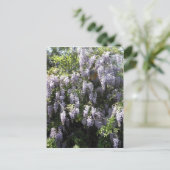 パープルつる植物ウィステリアフラワーズワイルドフラワーズフォト ポストカード (スタンド正面)