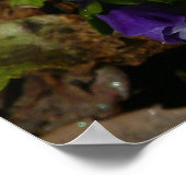 パープルとホワイトのパンジーカラフルフローラ ポスター (角)