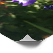 パープルアイリスアイリスコテージガーデンアートプラントポスター ポスター (角)