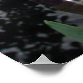 パープルアイリスアイリスコテージガーデンアートプラントポスター ポスター (角)