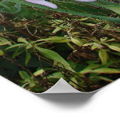 パープルアイリスアイリスコテージガーデンプラントポスター ポスター (角)