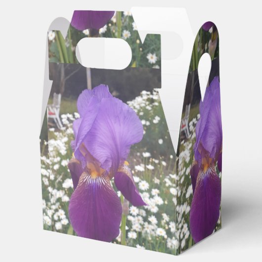 パープルアイリスアイリスズお誕生日ケーキお願いボックス フェイバーボックス (オープン)