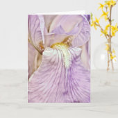 パープルアイリスクローズアップ聖なる書物、 経典カード詩編16:6 カード (黄色い花)