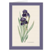 パープルアイリスゲルマニカ植物芸術ノートカード (正面)