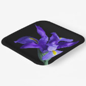 パープルアイリススクエアプレート ペーパープレート (傾斜あり)