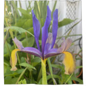 パープルアイリスフラワーアウトドアガーデン自然写真 シャワーカーテン (正面)