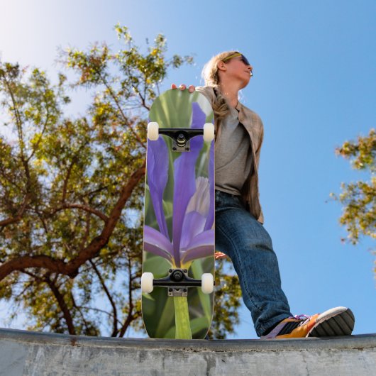 パープルアイリスフラワーアウトドアガーデン自然写真 スケートボード (室外1)