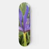 パープルアイリスフラワーアウトドアガーデン自然写真 スケートボード (正面)