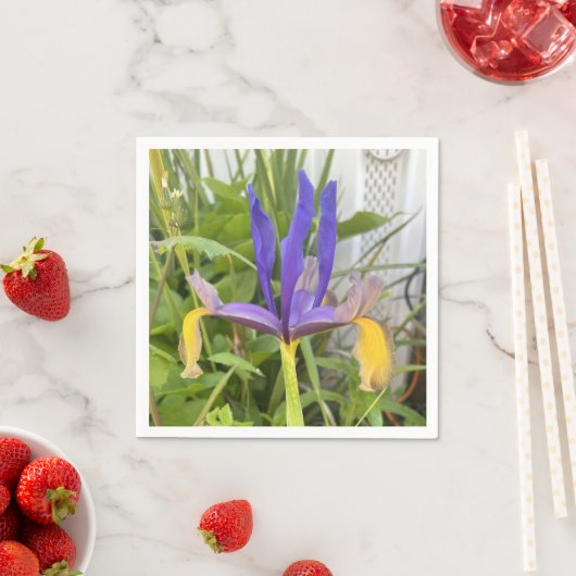 パープルアイリスフラワーアウトドアガーデン自然写真 スタンダードカクテルナプキン (インサイチュ)