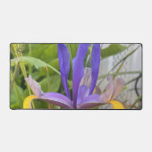 パープルアイリスフラワーアウトドアガーデン自然写真 デスクマット (正面)