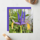 パープルアイリスフラワーアウトドアガーデン自然写真 ノートカード (正面/裏面インサイチュ)