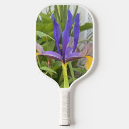 パープルアイリスフラワーアウトドアガーデン自然写真 ピックルボールラケット