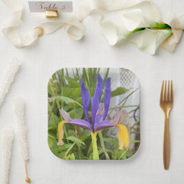 パープルアイリスフラワーアウトドアガーデン自然写真 ペーパープレート