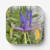 パープルアイリスフラワーアウトドアガーデン自然写真 ペーパープレート (正面)