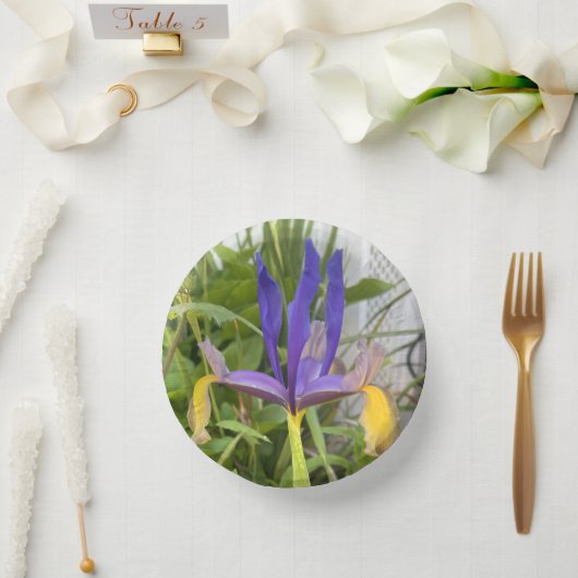 パープルアイリスフラワーアウトドアガーデン自然写真 ペーパーボウル (ウェディング)