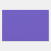 パープルアイリスフラワーアウトドアガーデン自然写真 ラッピングペーパーシート (正面3)