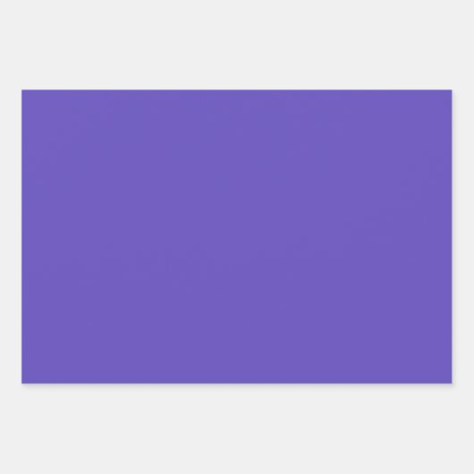 パープルアイリスフラワーアウトドアガーデン自然写真 ラッピングペーパーシート (正面3)